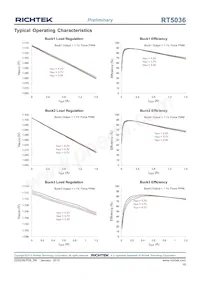 RT5036GQW Datasheet Page 19