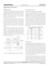 RT5036GQW Datasheet Page 21