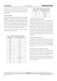 RT5036GQW Datasheet Page 22