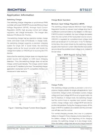 RT5037GQW Datasheet Page 21