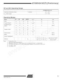 AT49BV6416CT-70CI Datasheet Page 19