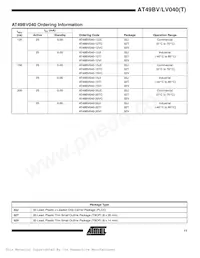 AT49LV040-12VI Datasheet Page 11