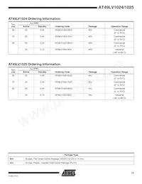 AT49LV1025-90JC Datasheet Page 13