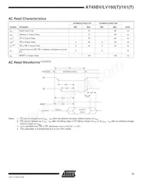 AT49LV161T-70TI Datasheet Page 19