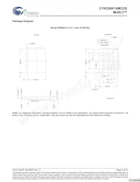 CYK256K16MCBU-70BVXIT Datasheet Page 9