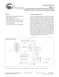 CYK512K16SCAU-70BAXIT Datasheet Copertura