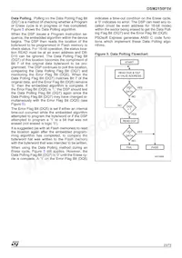 DSM2150F5V-12T6 Datasheet Page 23