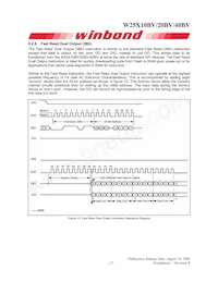 W25X20BVZPIG Datasheet Page 21