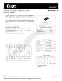 MC100ES6030EG Datenblatt Cover