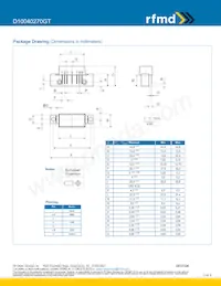D10040270GT Datasheet Page 3
