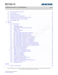 M21262G-12 Datenblatt Seite 4