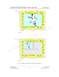 TW2802-FA Datasheet Page 19