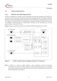 SAFC165HLFV13XT Datasheet Pagina 17