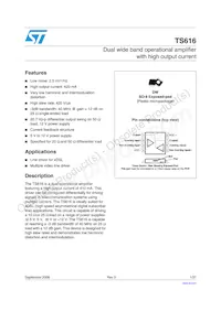 TS616IDWT Datasheet Cover
