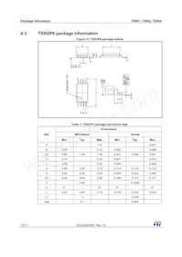 TS954IN Datasheet Page 12