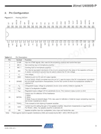 U4089B-PFNY Datasheet Page 3
