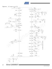 U4089B-PFNY Datasheet Page 20