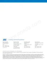 ATPL220A-A1U-Y Datasheet Pagina 10