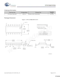 CYV15G0101EQ-SXC Datasheet Page 9