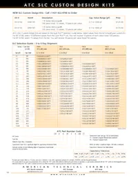 118EGA101M100TT Datasheet Page 16