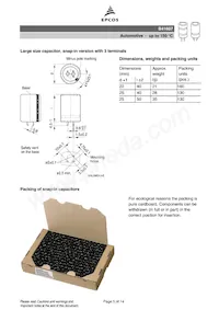 B41607A8158M009 Datasheet Page 5