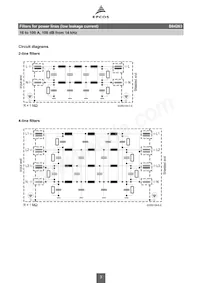 B84263D23B13 Datasheet Page 3