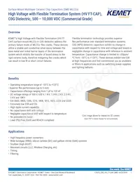 C1206X300JDGACTU Datasheet Copertura