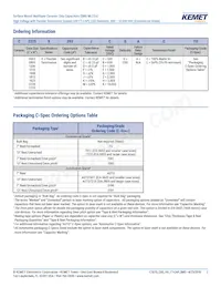 C1206X300JDGACTU Datasheet Pagina 2