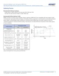 C1206X300JDGACTU Datasheet Page 13