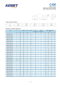 C4ATGBU4220A1DJ Datenblatt Seite 21