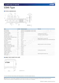 CS45-E2GA332M-VKA Datasheet Page 10