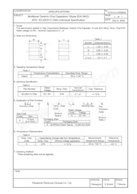 ECJ-0EX1C104K Datasheet Page 2