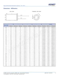 ESY827M025AH5AA Datasheet Pagina 3