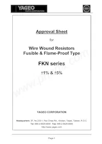 FKN3SSJR-73-8R2 Datasheet Cover