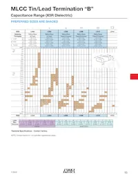 LD106D107KAB2A Datasheet Pagina 14