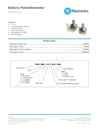 P160KNP-0Q20B100K Datasheet Cover