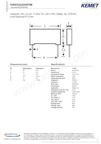 R46KR422000P0M Datasheet Copertura