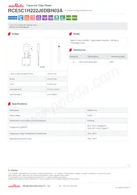 RCE5C1H222J0DBH03A 데이터 시트 표지