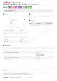 RCE5C2A4R0C0M1H03A 데이터 시트 표지