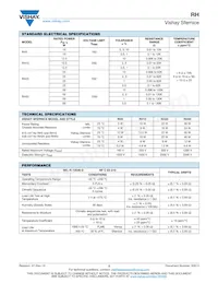 RH5022R00FS03 Datasheet Page 2