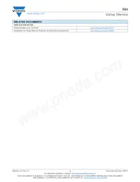 RH5022R00FS03 Datasheet Page 4