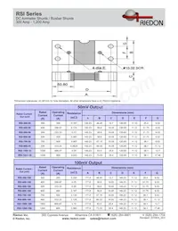 RSI-1200-100 Datasheet Pagina 2