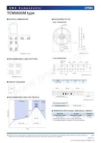 TCM0605M-900-2P-T201 Datasheet Pagina 3
