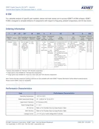 TSP2D447M010AH6510D540 Datasheet Page 2