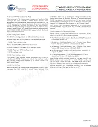 CYWB0226ABM-BVXIT Datasheet Pagina 3