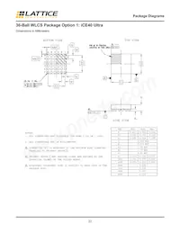 ISPGDX80VA-9TN100I Datasheet Page 22