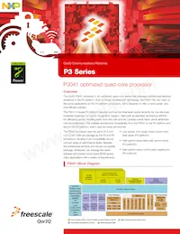P3041NXN1PNB Datenblatt Cover