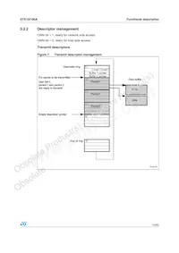 STE10/100A數據表 頁面 15