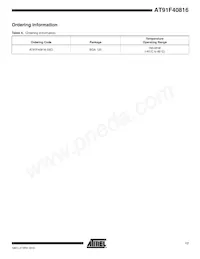 AT91F40816-33CI Datasheet Pagina 17