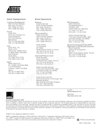 AT91F40816-33CI Datasheet Pagina 21